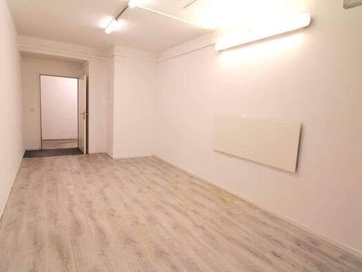 Lagerhalle zur Miete 314 € 21 m² Lagerfläche Wien,Leopoldstadt 1020