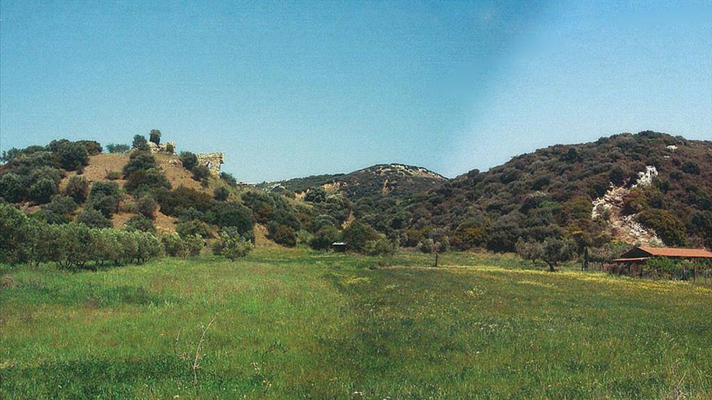 Land-/Forstwirtschaft zum Kauf 350.000 € Chalkidiki