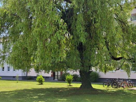 Wohnung zum Kauf 430.000 € 3,5 Zimmer 79 m² 2. Geschoss Ottobrunn 85521