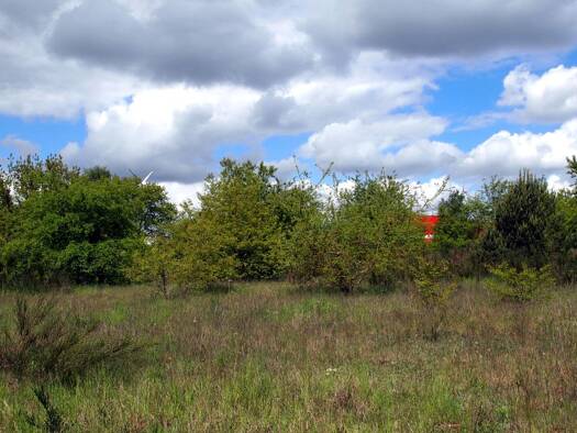 Gewerbepark zum Kauf 120.000 € 9.650 m² Grundstück Lübesse Lübesse 19077