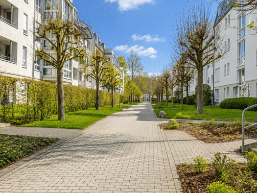 Studio zur Miete 250 € 1 Zimmer 33 m² Crossen Zwickau 08058