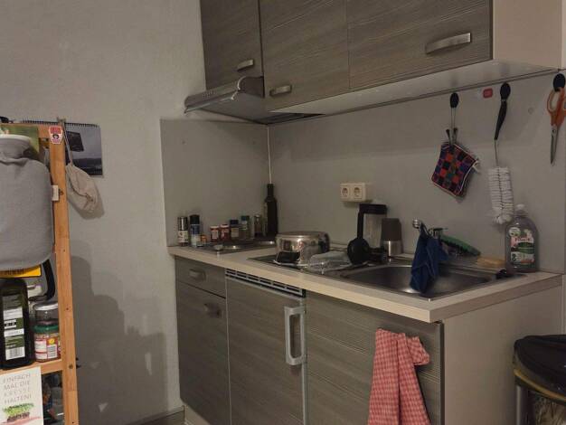 Wohnung zur Miete 375 € 1 Zimmer 35 m² EG frei ab sofort Trierweiler 54311