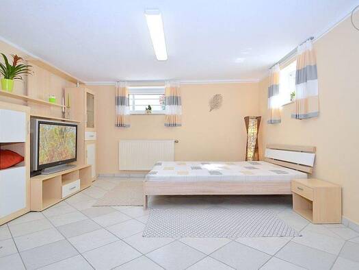 Studio zur Miete Wohnen auf Zeit 725 € 1 Zimmer 40 m² frei ab 01.06.2026 Reichelsdorf Nürnberg 90453