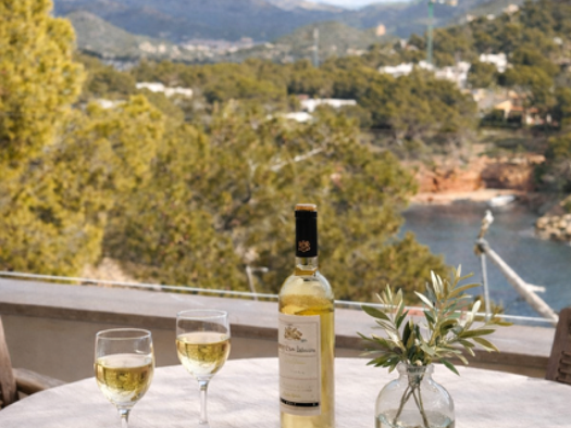 Ferienhaus zum Kauf 2.950.000 € 4 Zimmer 150 m² 60 m² Grundstück frei ab sofort Port Andratx 0