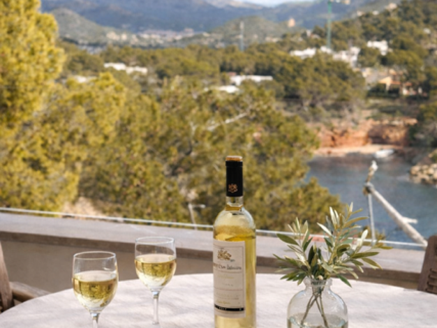 Ferienhaus zum Kauf 2.950.000 € 4 Zimmer 150 m² 60 m² Grundstück frei ab sofort Port Andratx 0