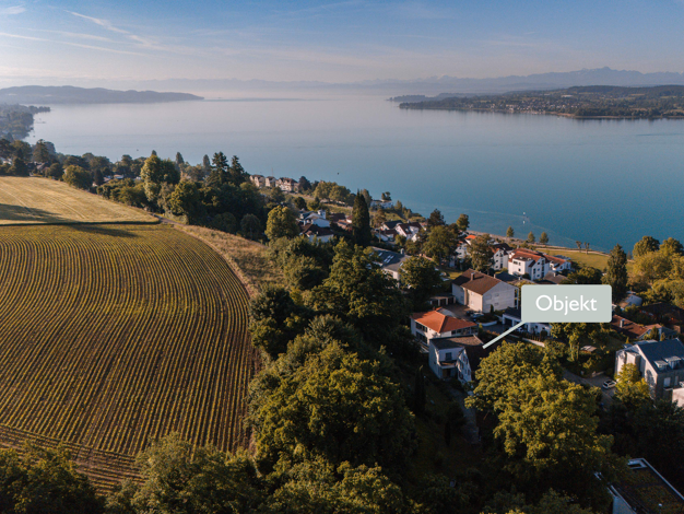 Villa zum Kauf 3.899.000 € 353,5 m² 3.116 m² Grundstück Überlingen 88662