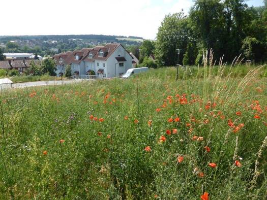 Grundstück zum Kauf 248.500 € 671 m² Grundstück Kitzingen 97318