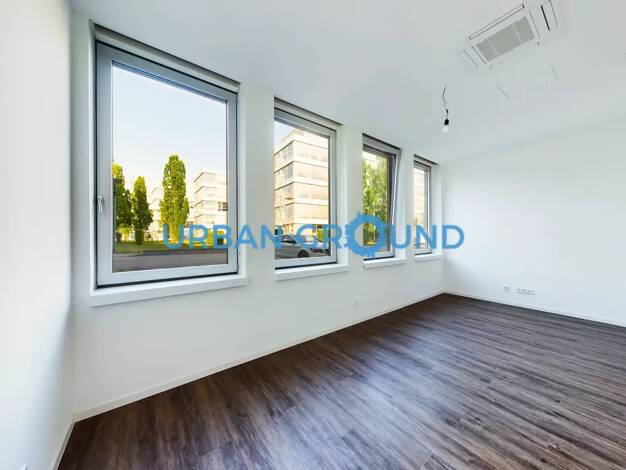 Studio zur Miete 709 € 1 Zimmer 26,5 m² EG frei ab sofort Elbinger Straße Bockenheim Frankfurt am Main 60487