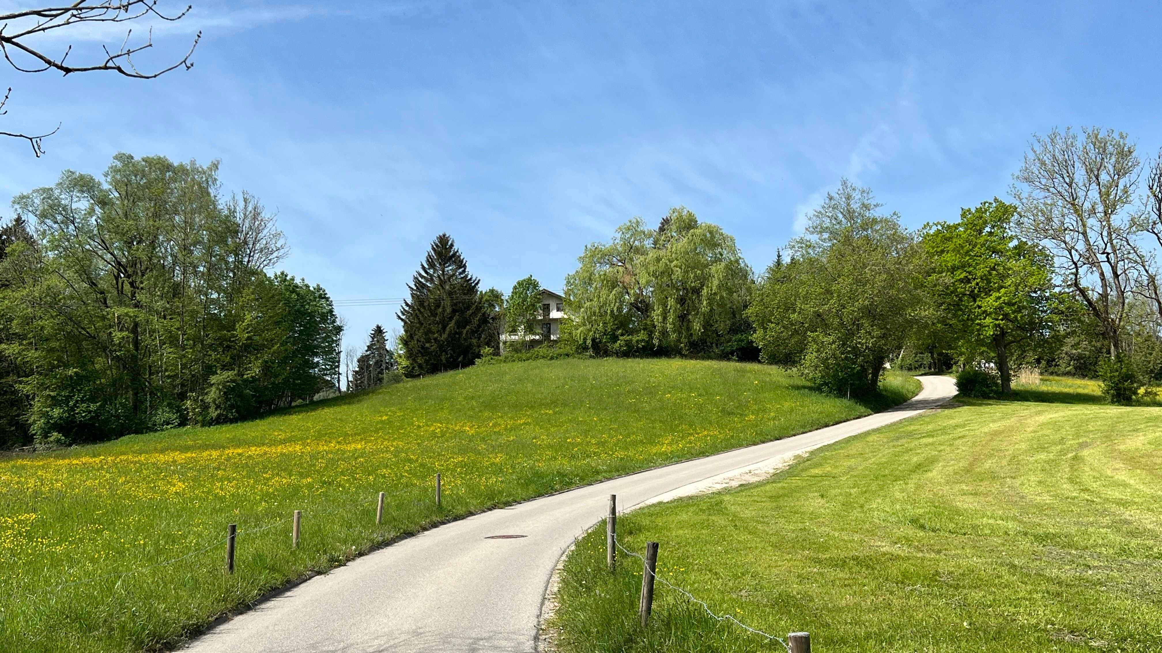 Land-/Forstwirtschaft zum Kauf 95.301 m²<br/>Grundstück Bernau am Chiemsee 83233