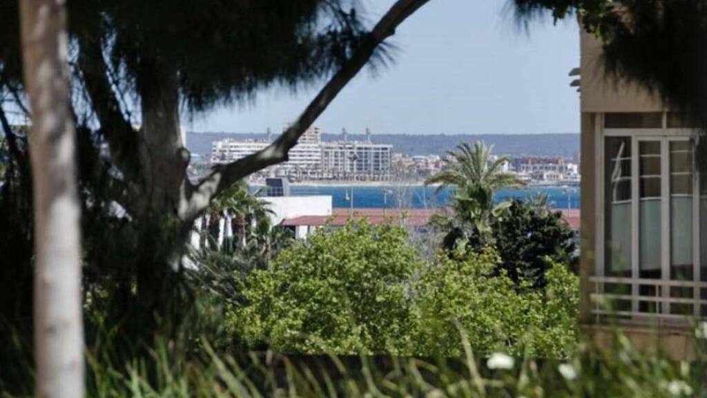 Haus zum Kauf 1.050.000 € 1 Zimmer 450 m² Palma de Mallorca 07015