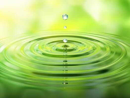 Hotel zum Kauf provisionsfrei 2.650.000 € 35 Zimmer Wittendorf Loßburg 72290