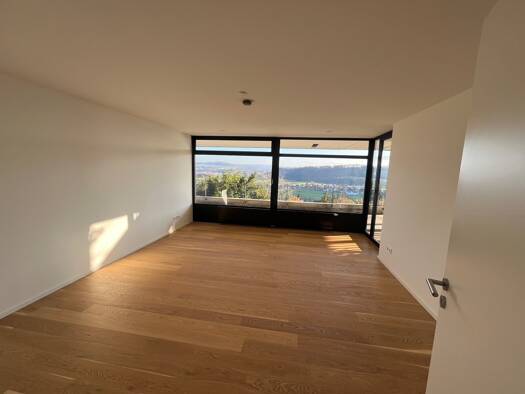 Wohnung zur Miete 1.700 € 3 Zimmer 165 m² Geschoss EG/1 frei ab sofort Waldshut Waldshut-Tiengen 79761
