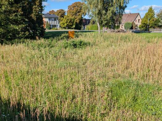 Grundstück zum Kauf 95.000 € 559 m² Grundstück Baugenehmigung vorhanden frei ab sofort Kassow Kassow 18258