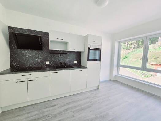 Wohnung zur Miete 564 € 3 Zimmer 54 m² Ferndorf 9702
