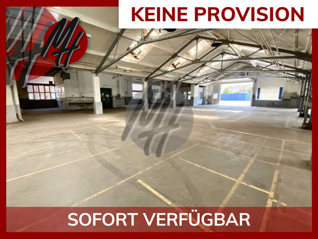 Lagerhalle zur Miete provisionsfrei 5,50 € 3.800 m² Lagerfläche teilbar ab 1.800 m² Viernheim 68519