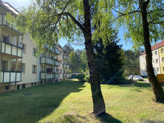 Wohnung zum Kauf provisionsfrei 115.300 € 3 Zimmer 62 m² 1. Geschoss Kiesweg 13 Rauen 15518