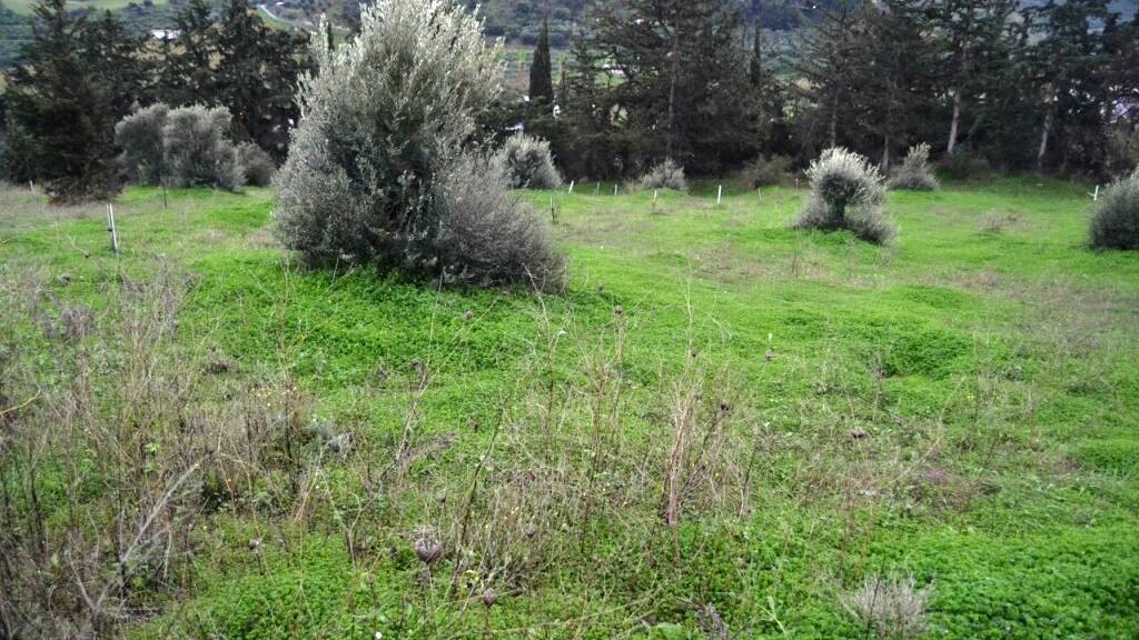 Land-/Forstwirtschaft zum Kauf 280.000 € 4.100 m² Grundstück Kreta