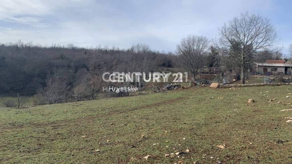 Land-/Forstwirtschaft zum Kauf 64.000 € Visnjan