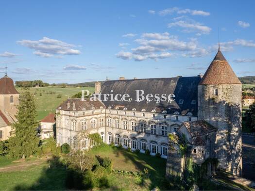 Schloss zum Kauf 850.000 € 20 Zimmer 3.000 m² 26.741 m² Grundstück Saint Claude - Torcols Besançon 25000