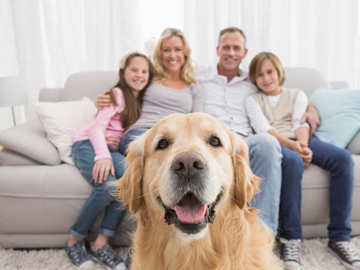 Studio zum Kauf provisionsfrei 189.350 € 2 Zimmer 54,1 m² EG frei ab sofort Neuruppin 16816