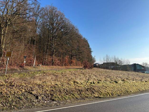 Grundstück zum Kauf 207.030 € 4.176 m² Grundstück Saulburg Wiesenfelden 94344