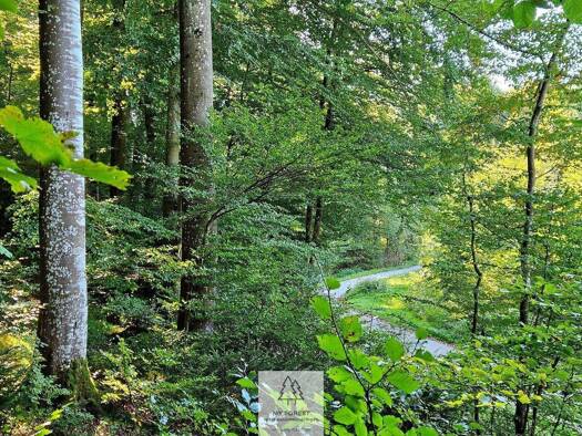 Forstwirtschaft zum Kauf 49.000 € 4.630 m² Grundstück Baierbrunn 82065