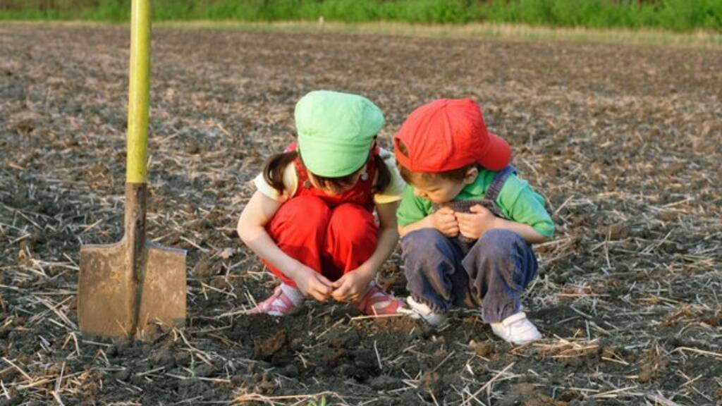 Grundstück zum Kauf 137.000 € 9.999.999 m² Grundstück AM 69307057