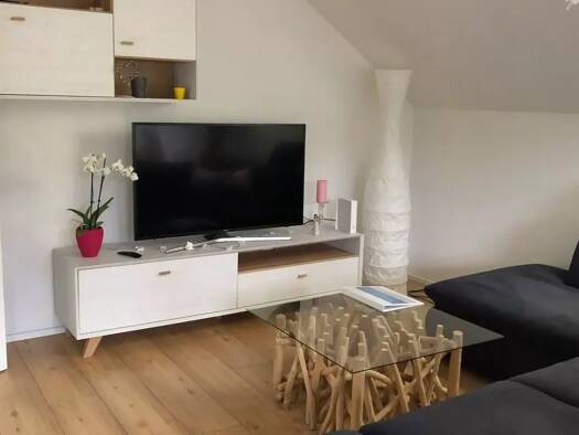 Studio zur Miete 630 € 2 Zimmer 53 m² 1. Geschoss frei ab 01.10.2025 Bad Mergentheim Bad Mergentheim 97980