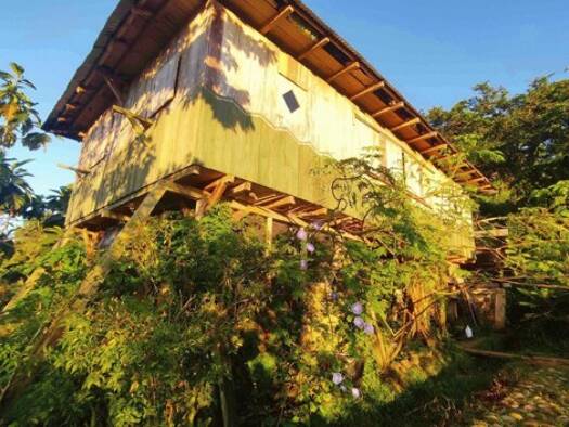 Grundstück zum Kauf 98.000 € 260.000 m² Grundstück Loreto 220211