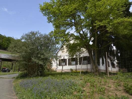 Land-/Forstwirtschaft zum Kauf 850.000 € Jennersdorf 8380