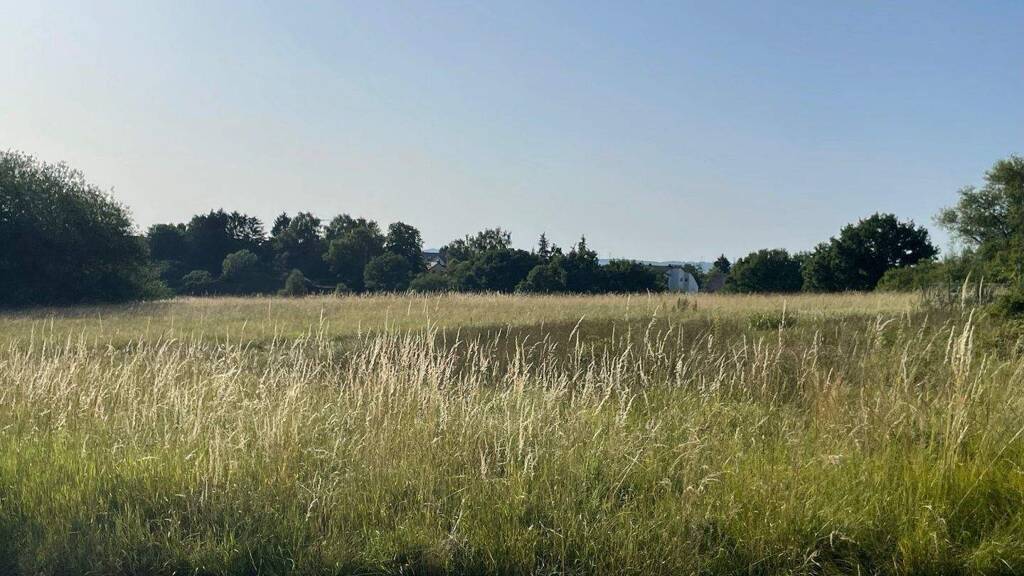 Einfamilienhaus zum Kauf 573.697 € 5 Zimmer 138,5 m² 696 m² Grundstück Riegelsberg 66292