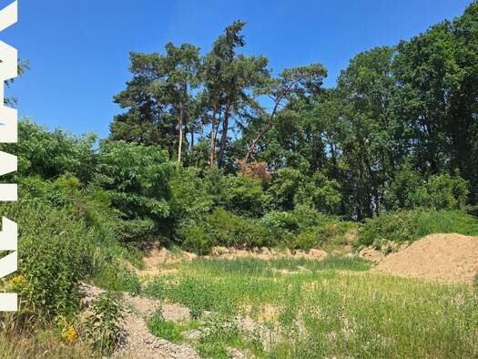 Grundstück zum Kauf 247.000 € 1.068 m² Grundstück Hamminkeln Hamminkeln 46499