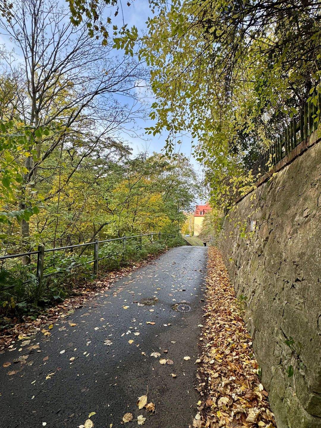 Immobilie in Meißen - Sanierungsbedürftiges Zweifamilienhaus in ruhiger und grüner Lage von Meißen - Bild 2