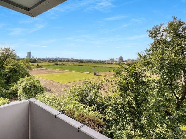 Wohnung zum Kauf 497.000 € 4 Zimmer 111 m² 1. Geschoss frei ab sofort Frankfurt am Main 60599