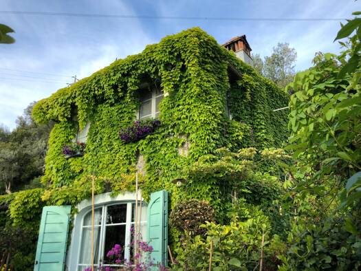 Haus zum Kauf 990.000 € 6 Zimmer 185 m² 3.000 m² Grundstück Camaiore 55041