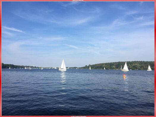 Einfamilienhaus zum Kauf 1.390.000 € 5 Zimmer 250 m² 800 m² Grundstück Wannsee Berlin 14109