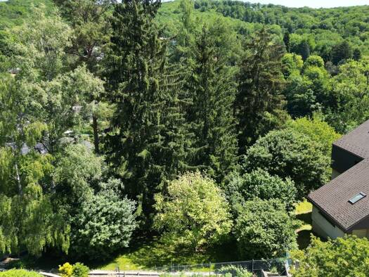 Grundstück zum Kauf 349.000 € 1.071 m² Grundstück Mauerbach 3001