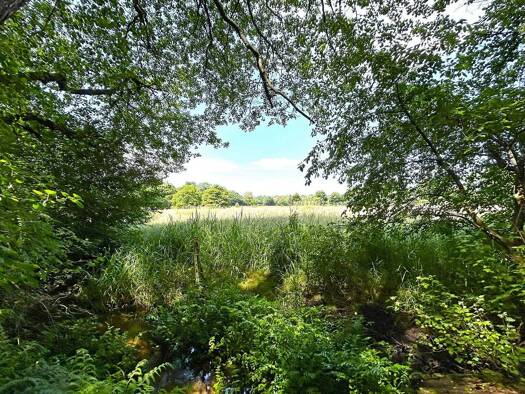 Sonstiges zum Kauf 498.000 € 4.710 m² Grundstück Jesteburg 21266