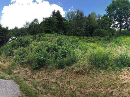 Grundstück zum Kauf 75.000 € Radenthein