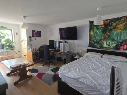 Wohnung zur Miete 605 € 1 Zimmer 50 m² Geschoss 4/5 frei ab 01.10.2026 Innenstadt Erlangen 91052