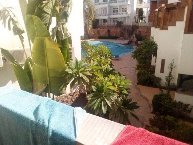 Wohnung zum Kauf 50.000 € 1 Zimmer 45 m²<br/>Wohnfläche Sharm El-Sheikh 46619