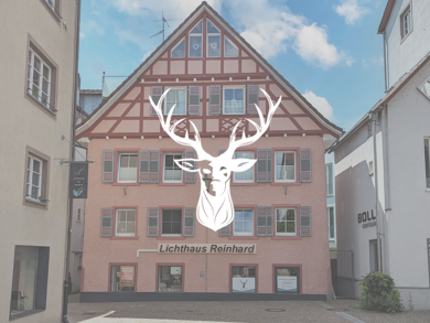 Ladenfläche zur Miete 1.450 € 55 m² Verkaufsfläche Wallstr. 72 Waldshut Waldshut-Tiengen 79761