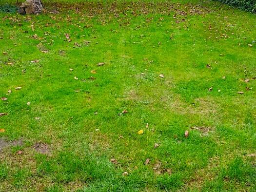 Grundstück zum Kauf 88.900 € 900 m² Grundstück Flessenow Dobin am See 19067