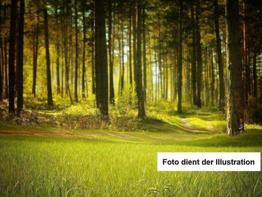 Grundstück zum Kauf 60.000 € 11.923 m² Grundstück Kallmünz 93183