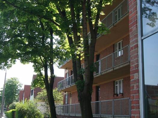 Wohnung zur Miete 325 € 2 Zimmer 45,8 m² 2. Geschoss Peterholzstraße 56 Süd Dessau-Roßlau 06849