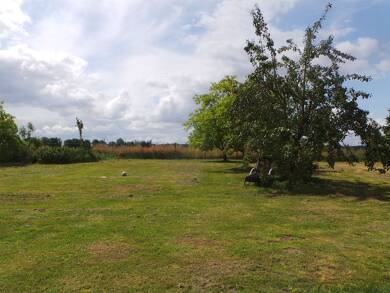 Grundstück zum Kauf provisionsfrei 72.000 € 1.600 m² Grundstück frei ab sofort Techlin Deyelsdorf 18513