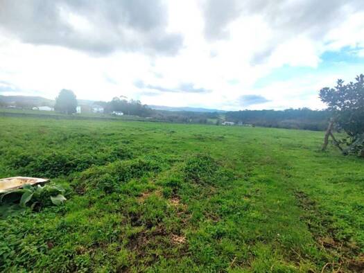 Acker-/Waldstück zum Kauf 60.000 € Casariego Tapia de Casariego 33748
