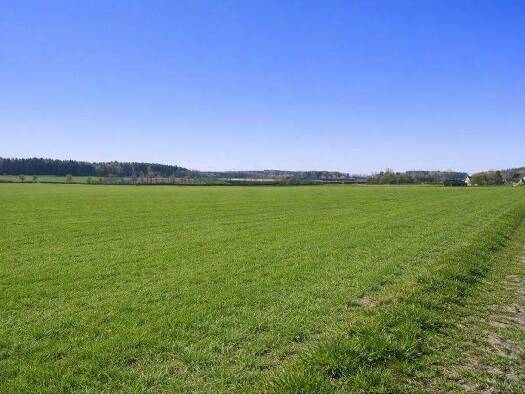 Land-/Forstwirtschaft zum Kauf 700.000 € 130.000 m² Grundstück Schammach Attenweiler 88448