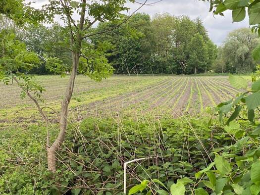 Landwirtschaftliche Fläche zum Kauf 159.000 € 6.540 m² Grundstück Ismaning Ismaning 85737