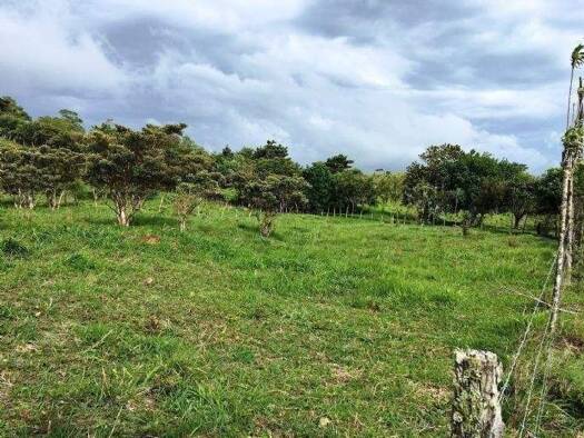 Landhaus zum Kauf 138.000 $ 600 m² 25.250 m² Grundstück Arenal See